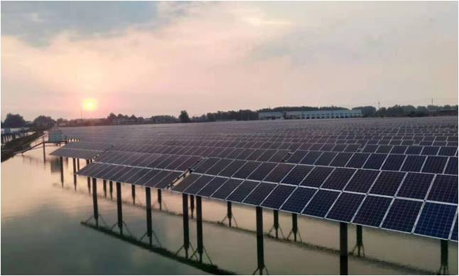 156956461938694158E6.jpg 2.jpg